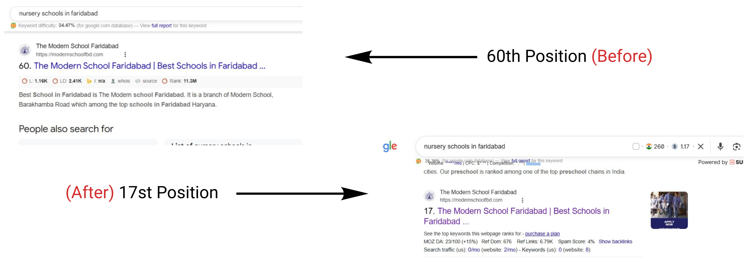 best seo freelancer in delhi